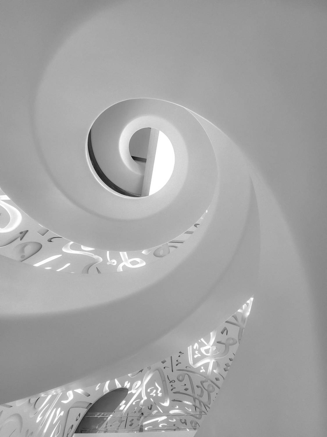 Фотография #8882175