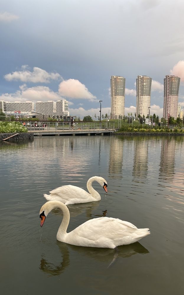 Photograph by Татьяна