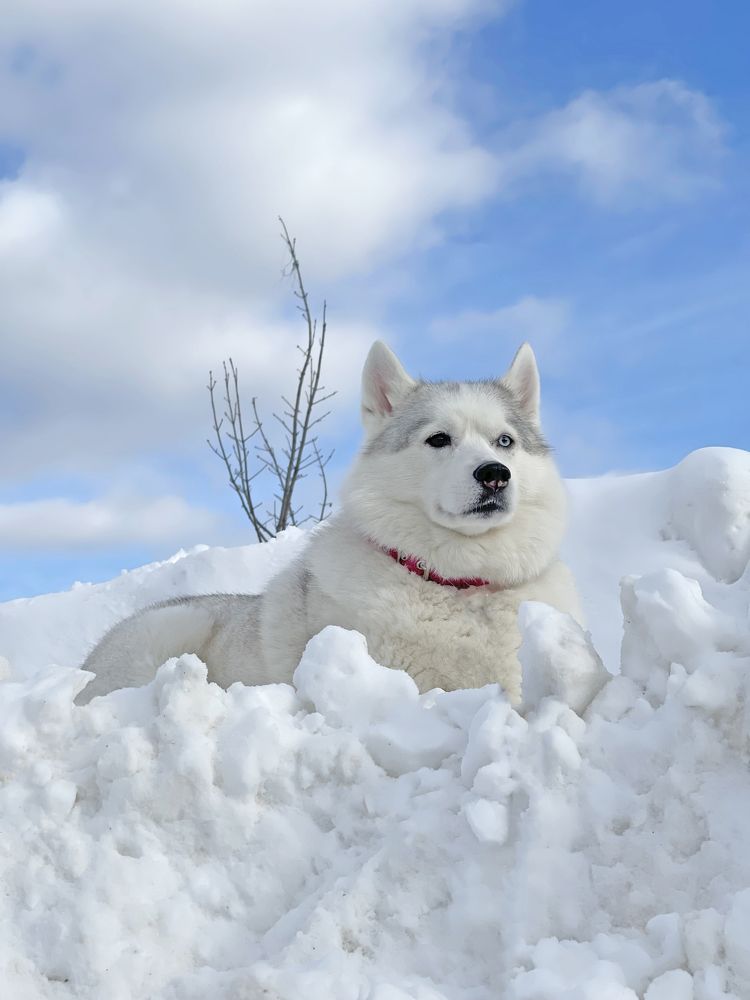 Photograph by Татьяна