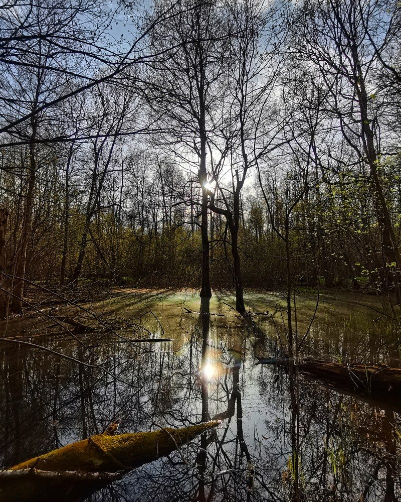 Photograph by Ульяна Рожнова