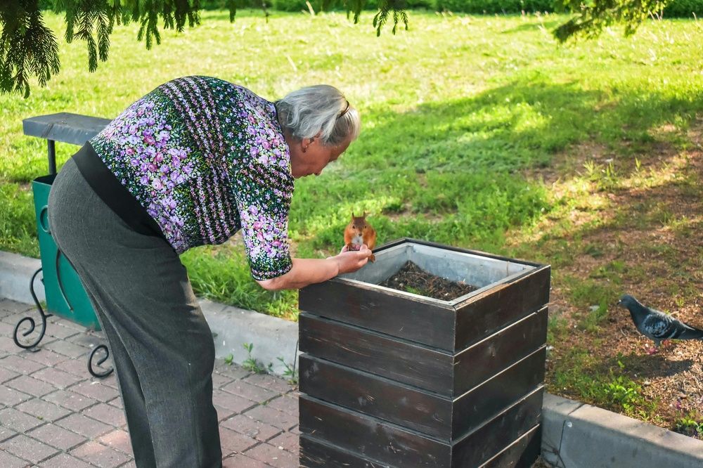 Photograph by Татьяна Сурова