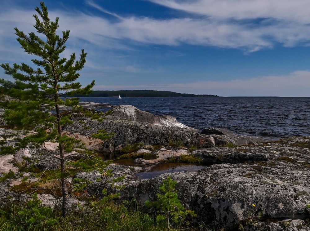 Photograph by Юлия Лис-а