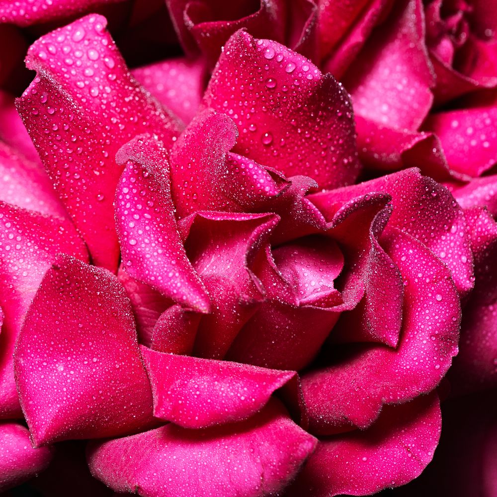 Photograph by Елена Иванова