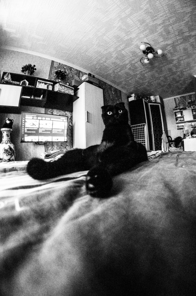 Photograph by Сергей Золотоверхий