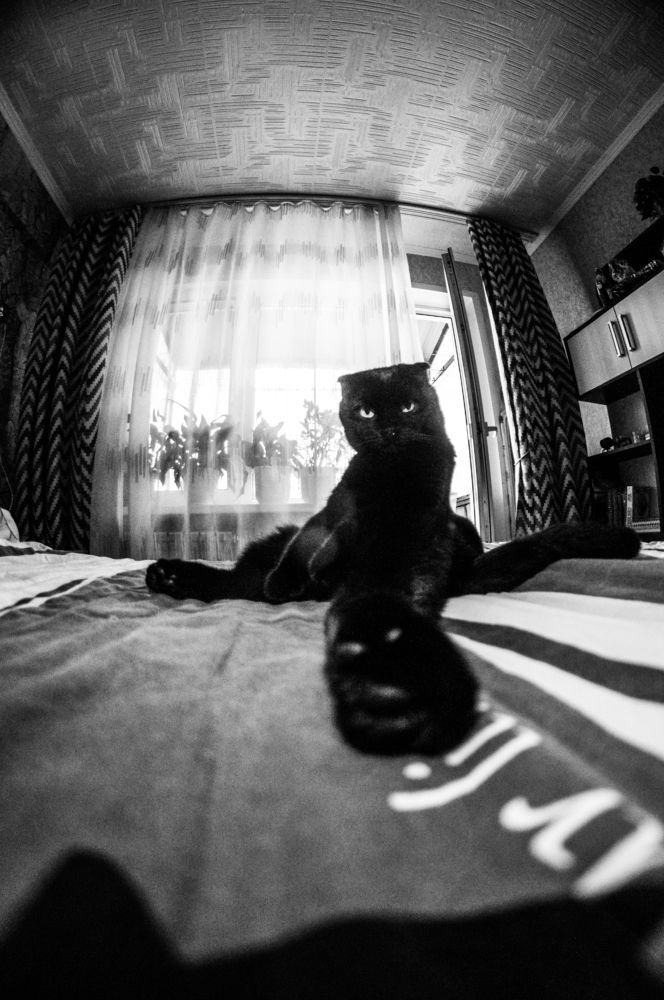 Photograph by Сергей Золотоверхий