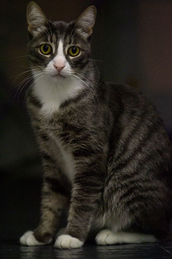 Photograph by Валентина Караблина