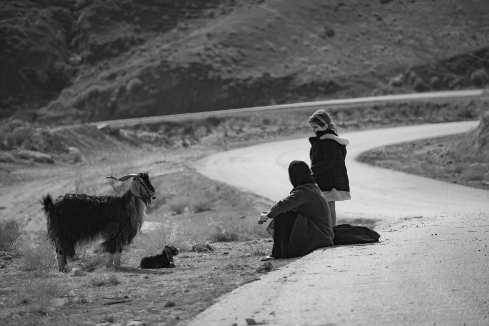 Photograph by امید امیدی