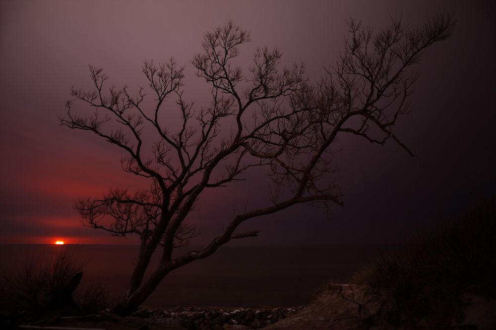 Photograph by Юлия Шаля