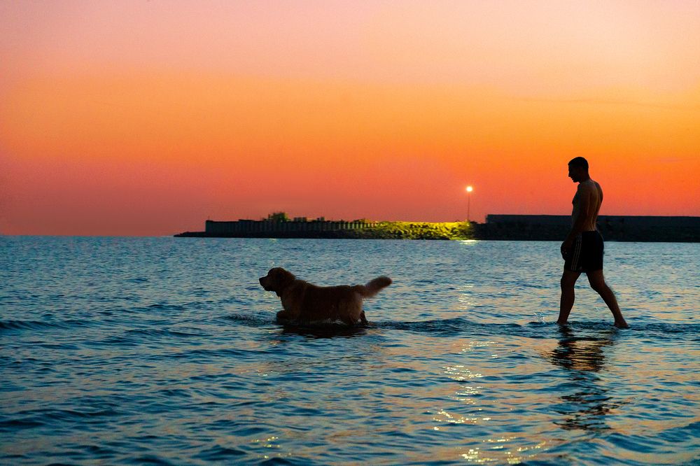 Photograph by Татьяна