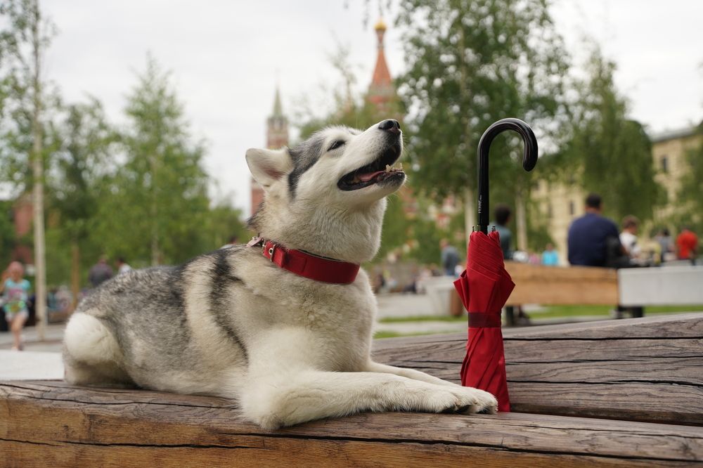 Photograph by Татьяна