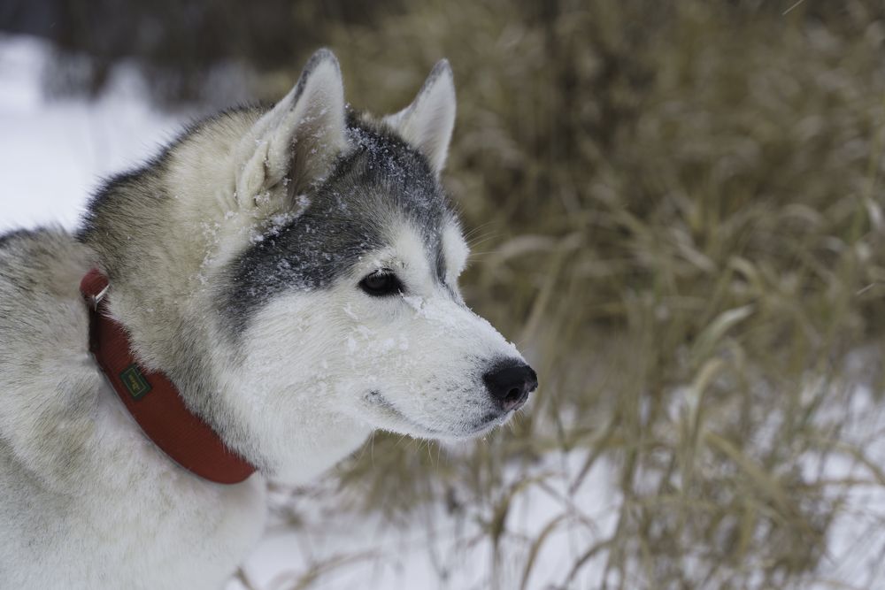 Photograph by Татьяна