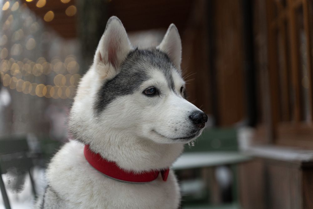 Photograph by Татьяна