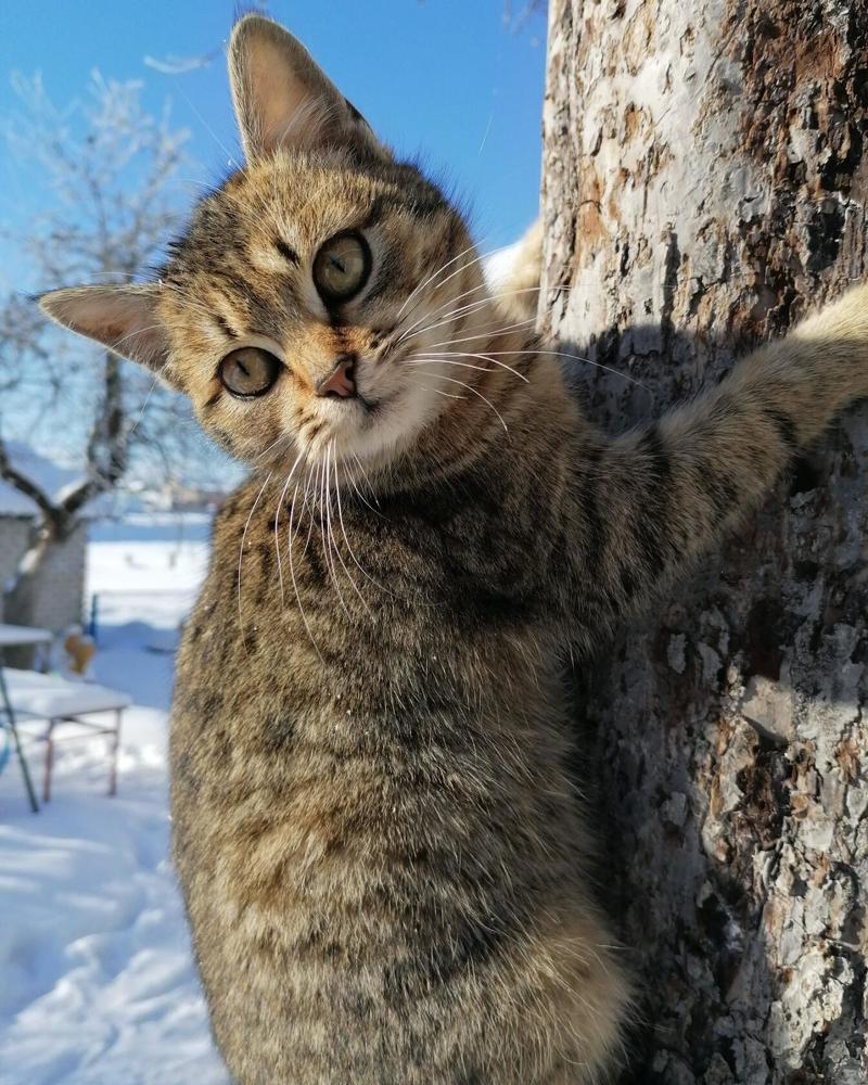 Photograph by Екатерина Супраненок