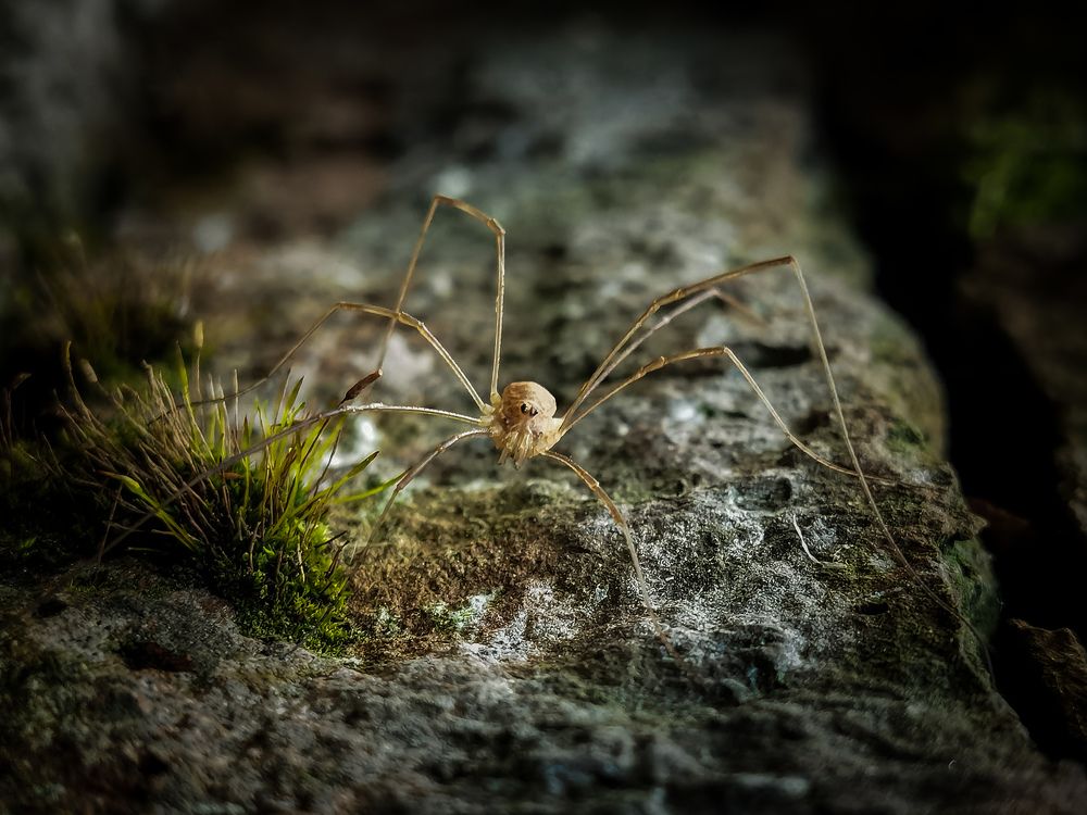 Photograph by Влад Апанасов