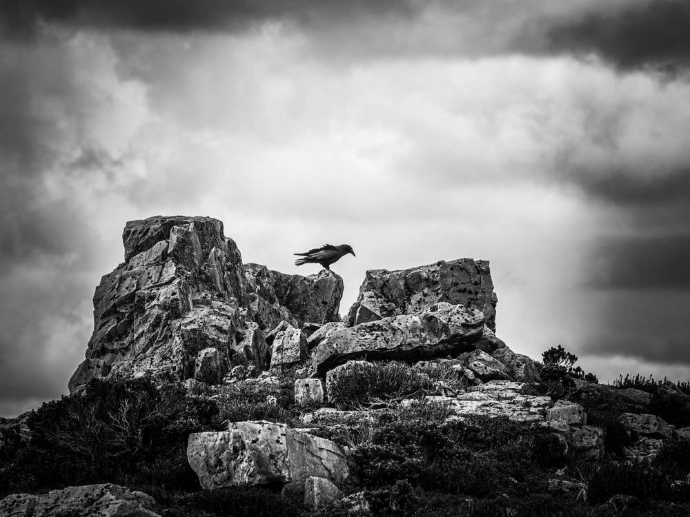 Photograph by Zlata Bubalo