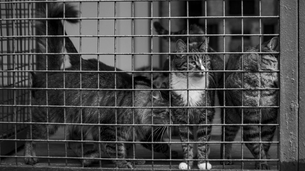 Photograph by Ильдус Шаруков