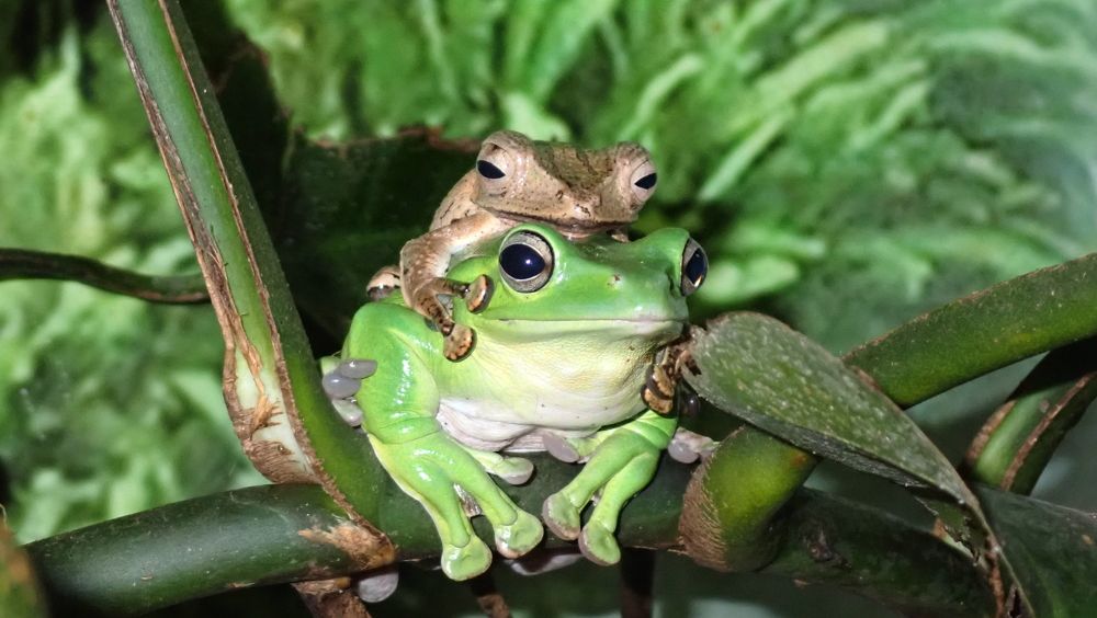 Photograph by Филиппов Олег