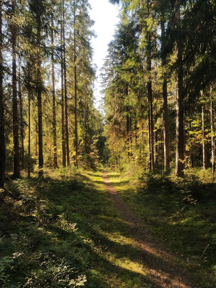 Photograph by Ольга Белик