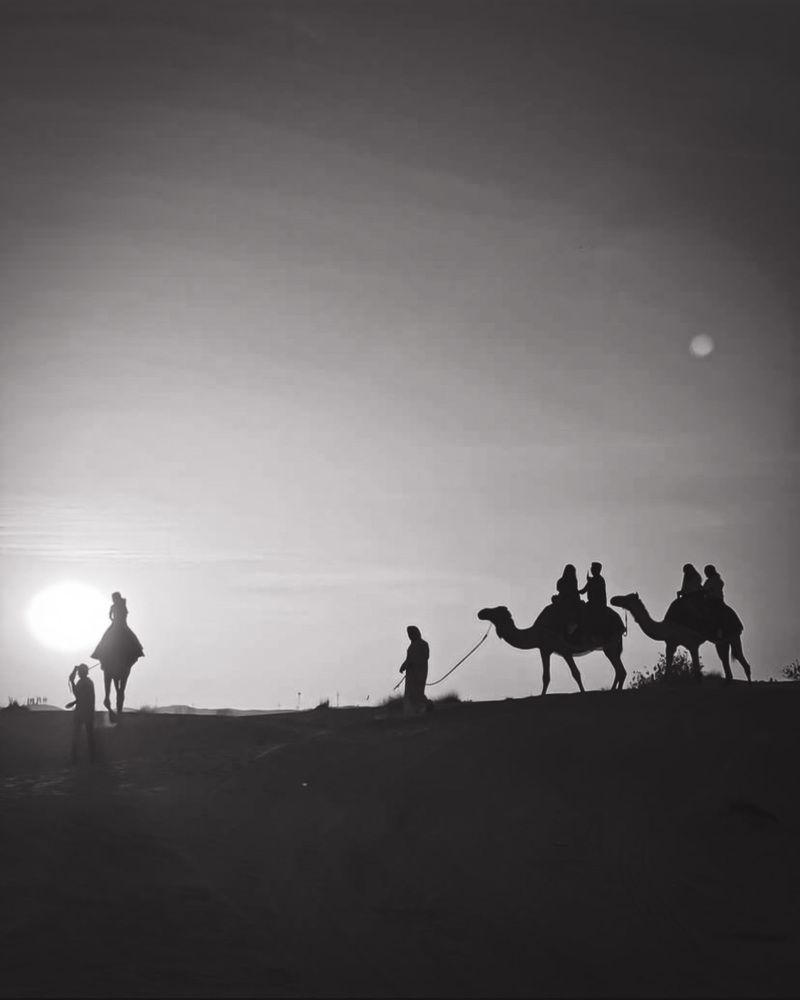 Фотография автора Nazgul Mamylkanova