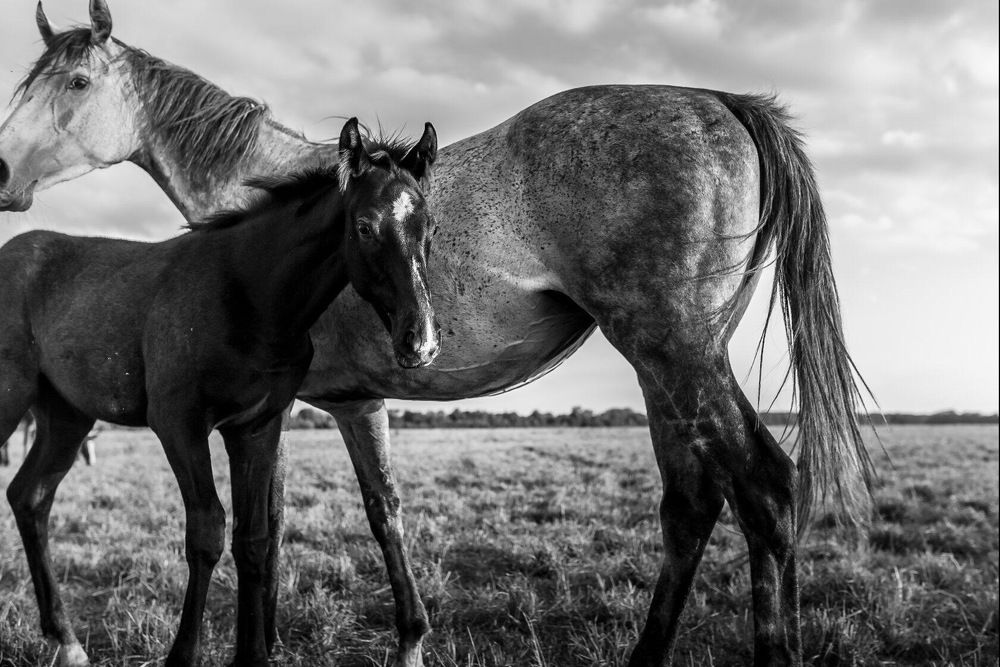 Photograph by Вероника Гергерт