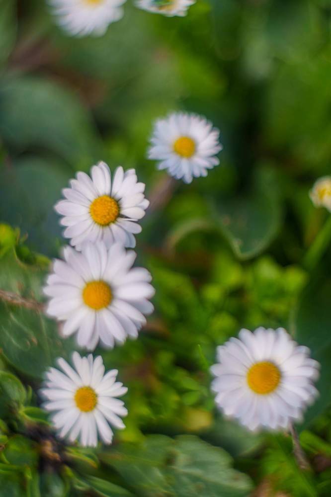 Experiments with "weird" lenses.