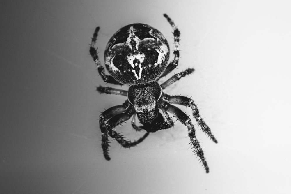 Photograph by Олег Буторин