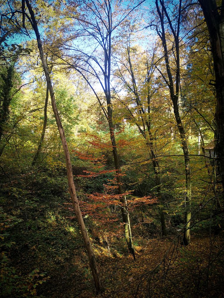 Photograph by Zlatanovic