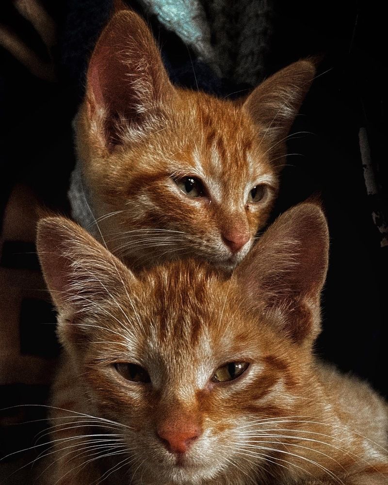 Photograph by Александра Хизриева