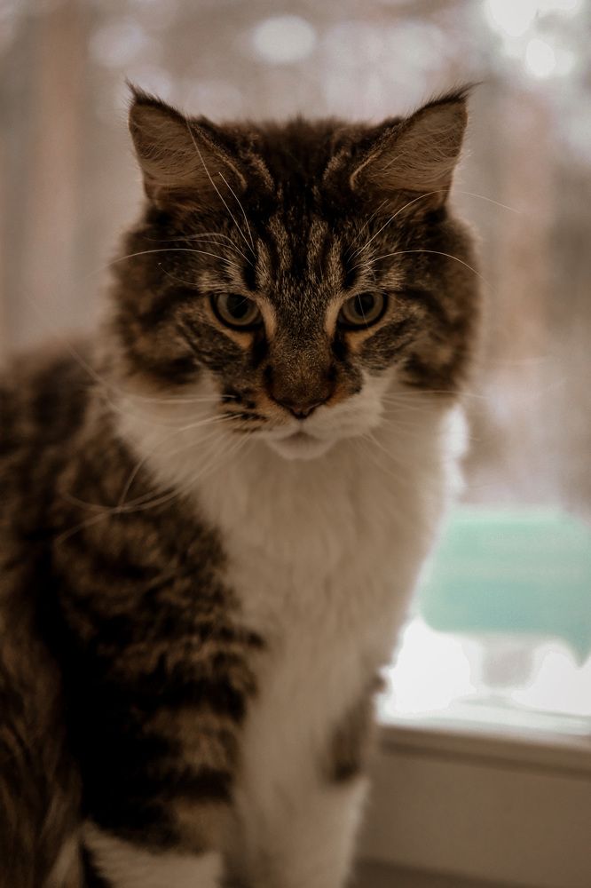 Photograph by Александра Хизриева