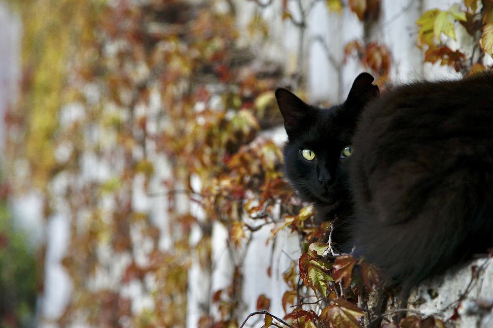 Photograph by Татьяна Шевцова