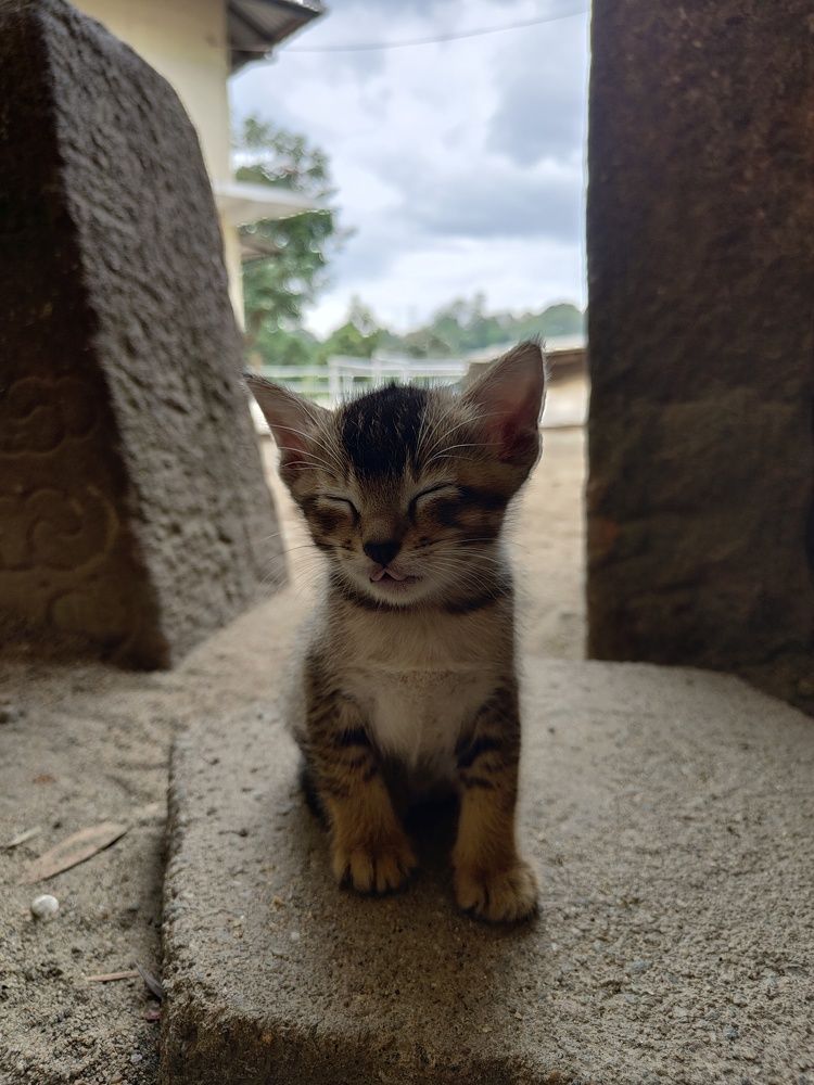 Photograph by Duminda Nadeeshan