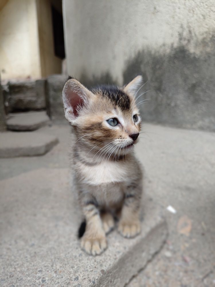 Photograph by Duminda Nadeeshan