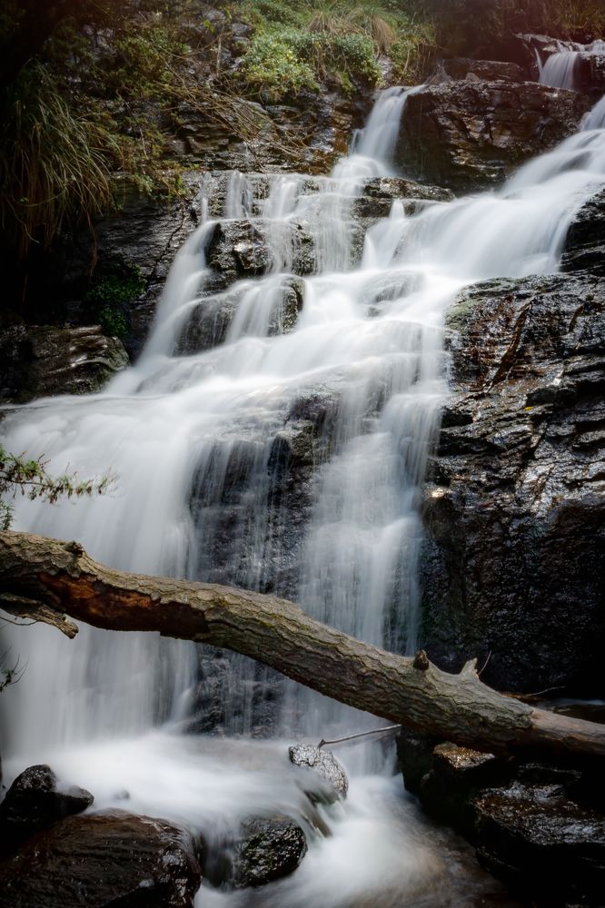 Photograph by Sosa Betsabé