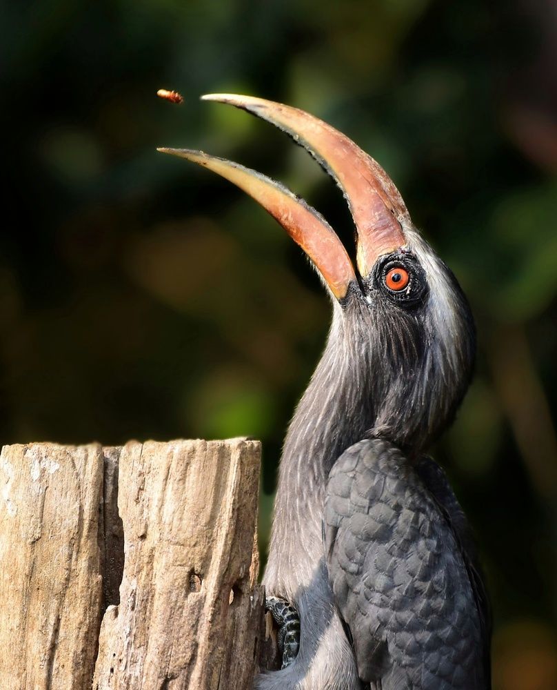 Photograph by George S George