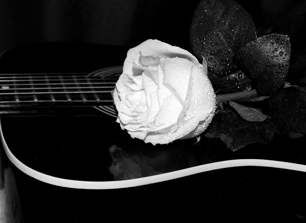 Фотография автора Андрей Павловский