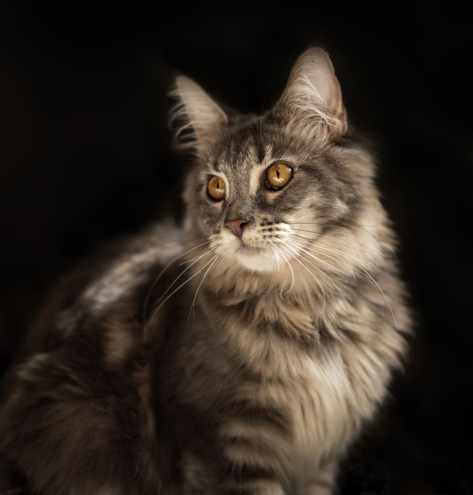 Photograph by Богатырева Ксения