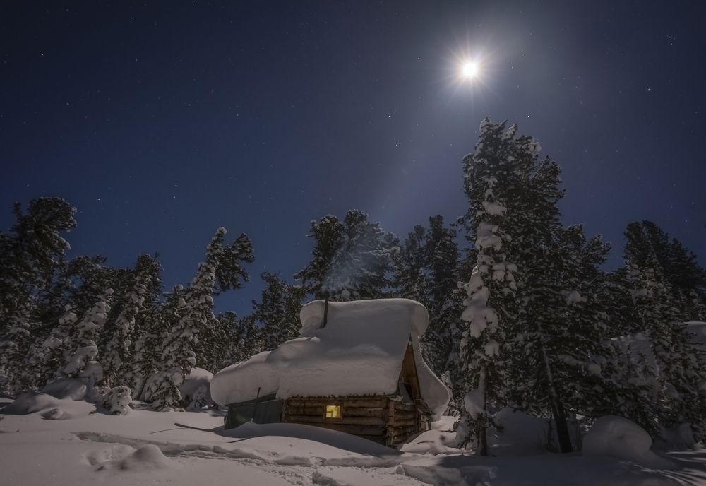 Струился лунный свет