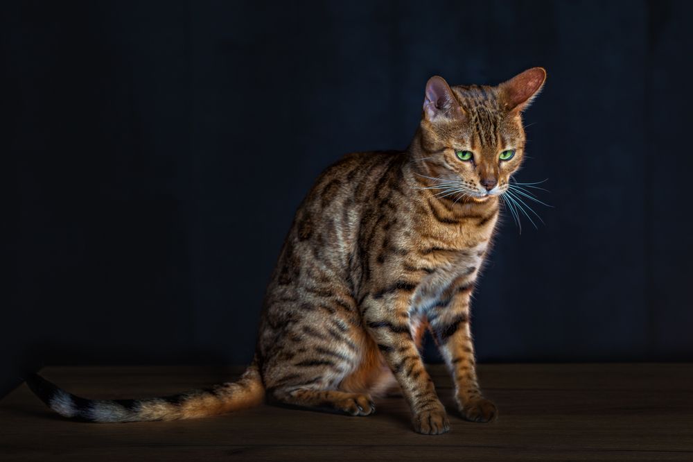 Photograph by Анастасия Рязанцева