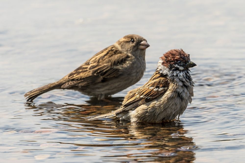 Ты, где был?...