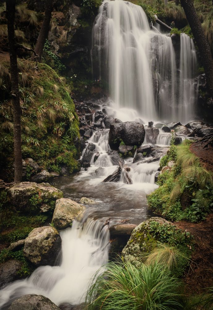 Photograph by Sosa Betsabé