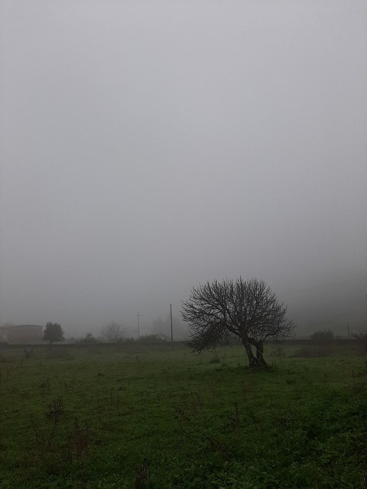 Photograph by Елизавета Гисса