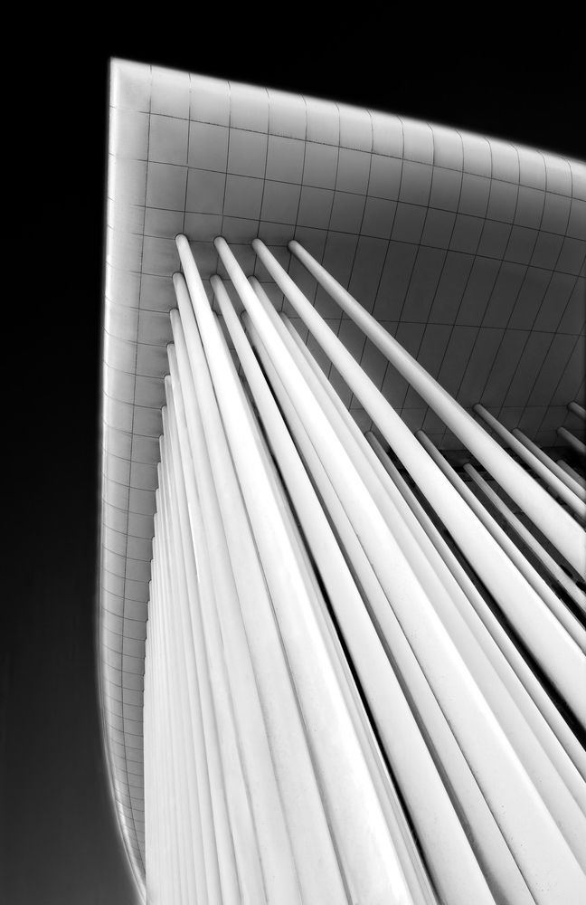 Photograph by Frank Proost