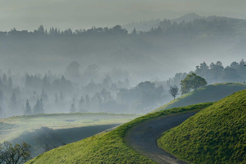 Photograph by Srikanth Srinivasan