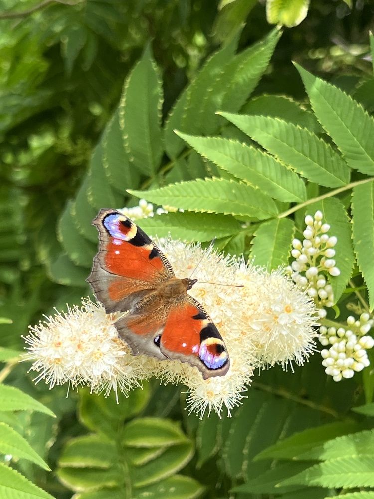 Photograph by Ольга Лазебникова