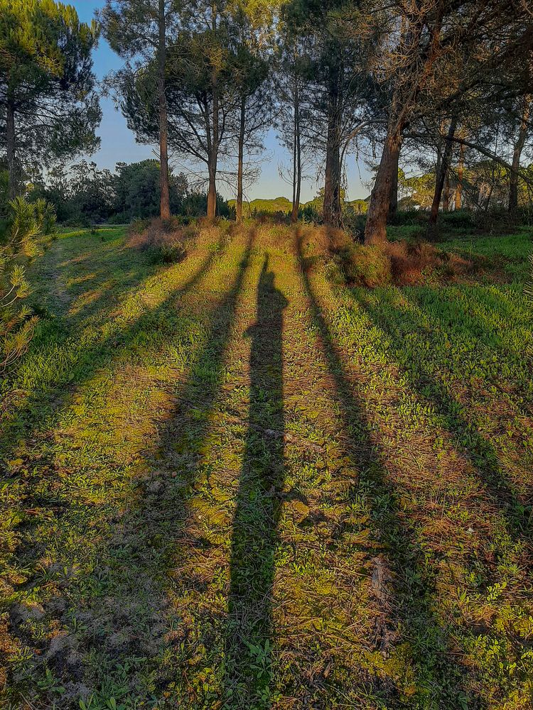 Photograph by Елизавета Гисса