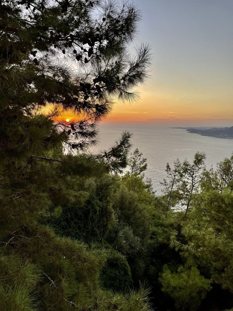 Photograph by Александр Мокров