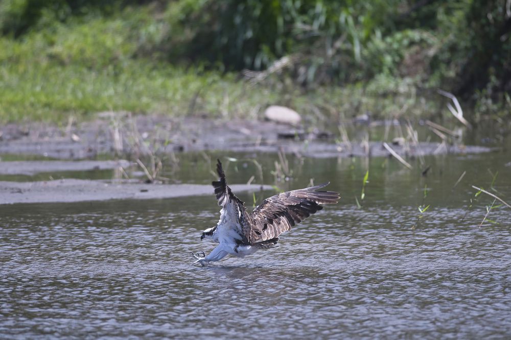 Photograph by FRANCIS VELAYOUDON