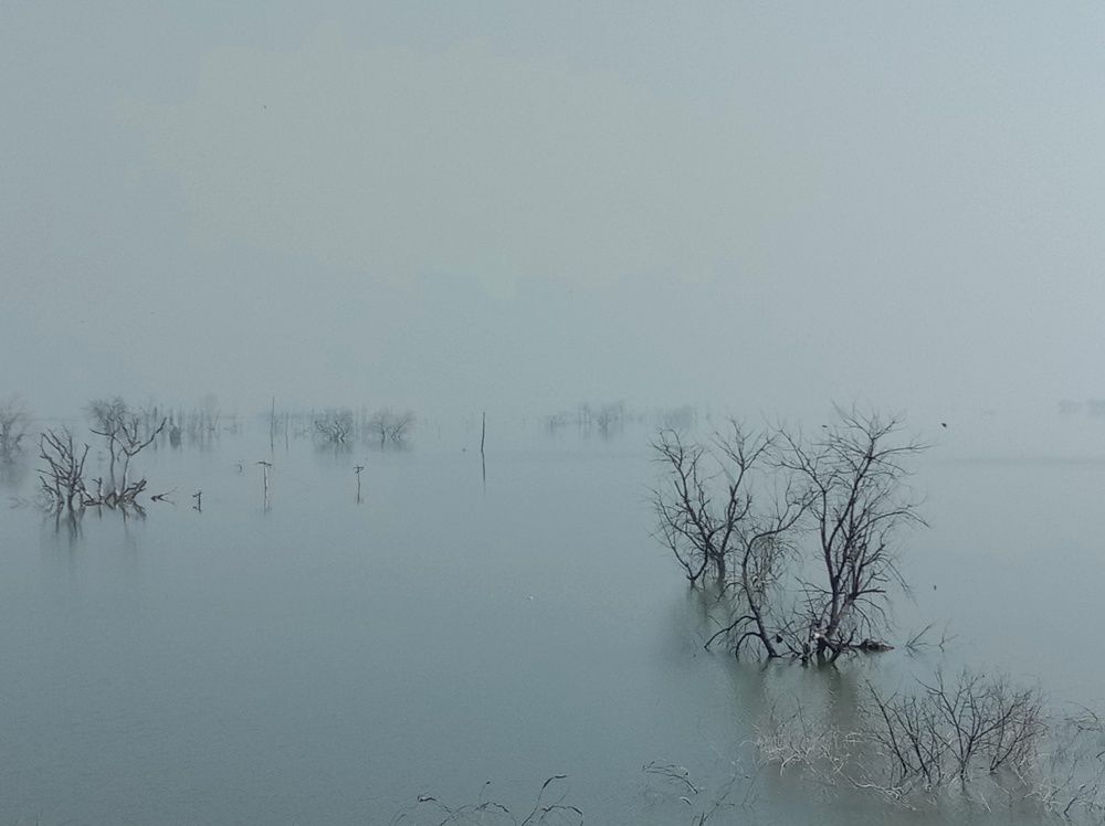 Wandering by the Waterside