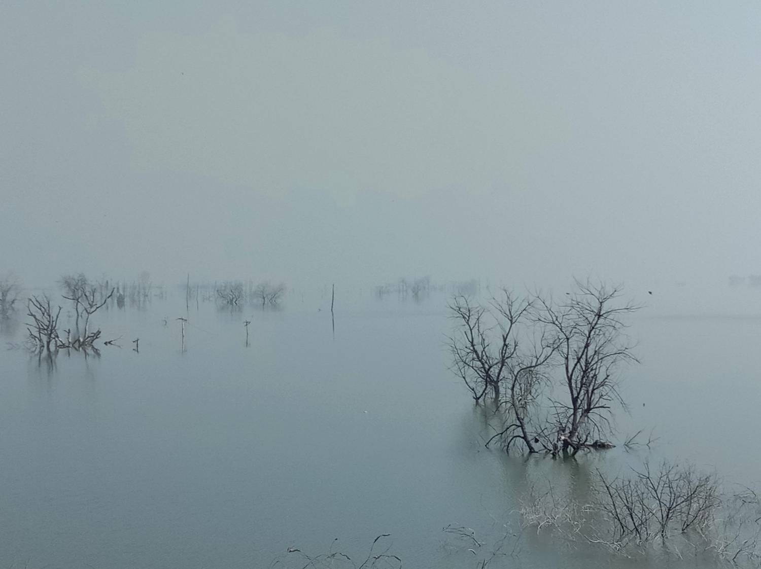 Wandering by the Waterside