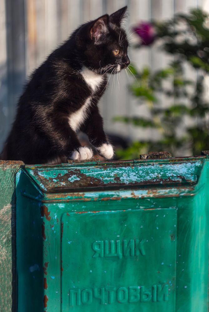 Photograph by Ольга Белова